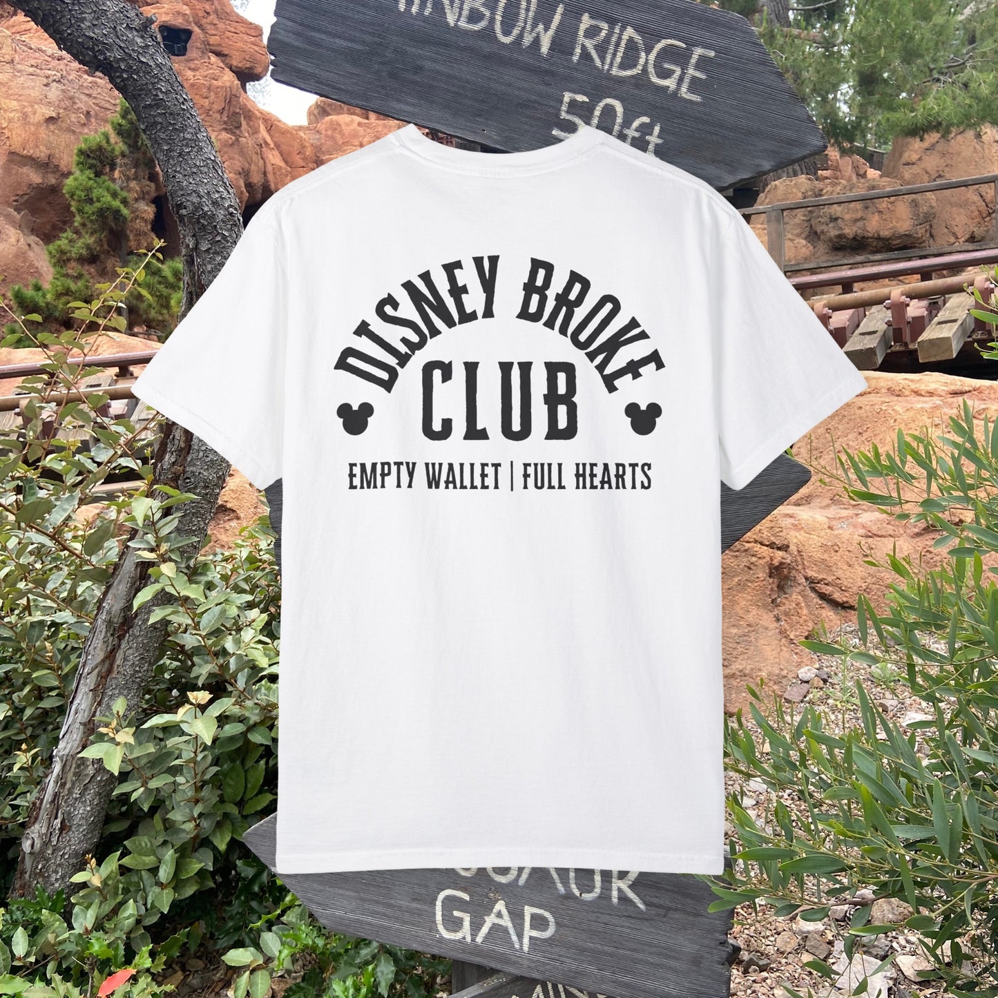 soft disneyland or disneyworld shirt